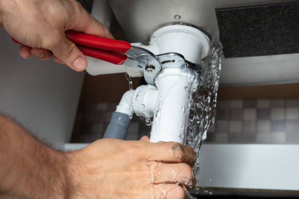 Best Sewage cleanup and water damage restoration  in Champaign, IL