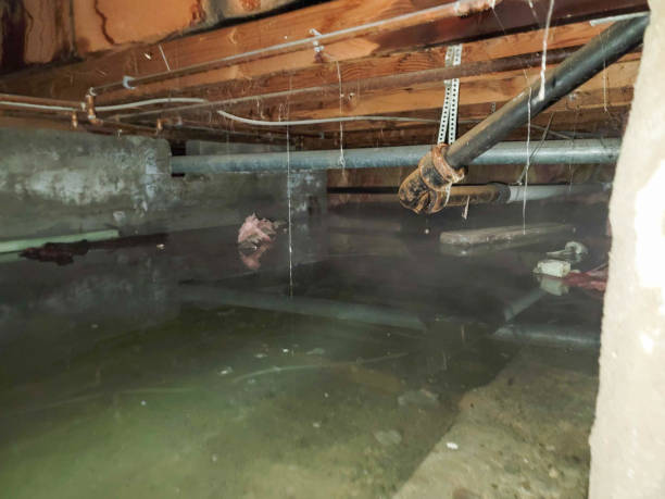 Best Water damage restoration near me  in Champaign, IL