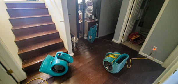 Water damage restoration insurance claims in Champaign, IL