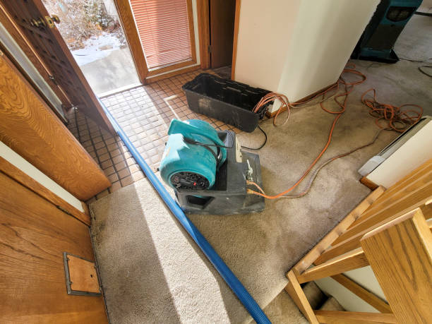 Best Professional water damage repair  in Champaign, IL