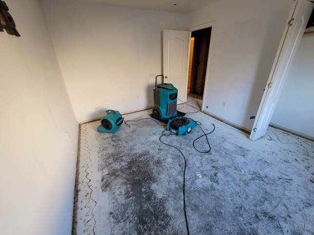 Best Commercial water damage restoration  in Champaign, IL