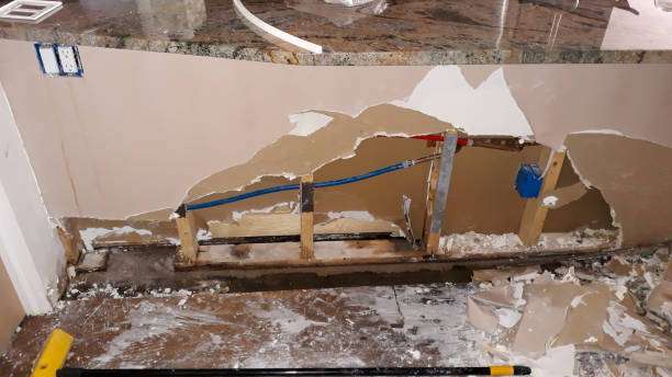 Water damage restoration mold remediation in Champaign, IL