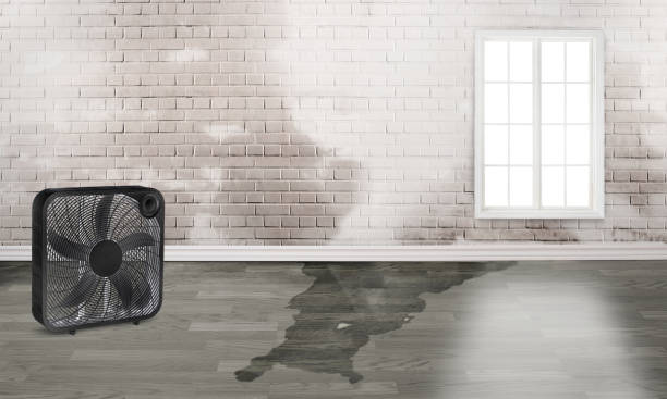 Best Water damage restoration near me  in Champaign, IL